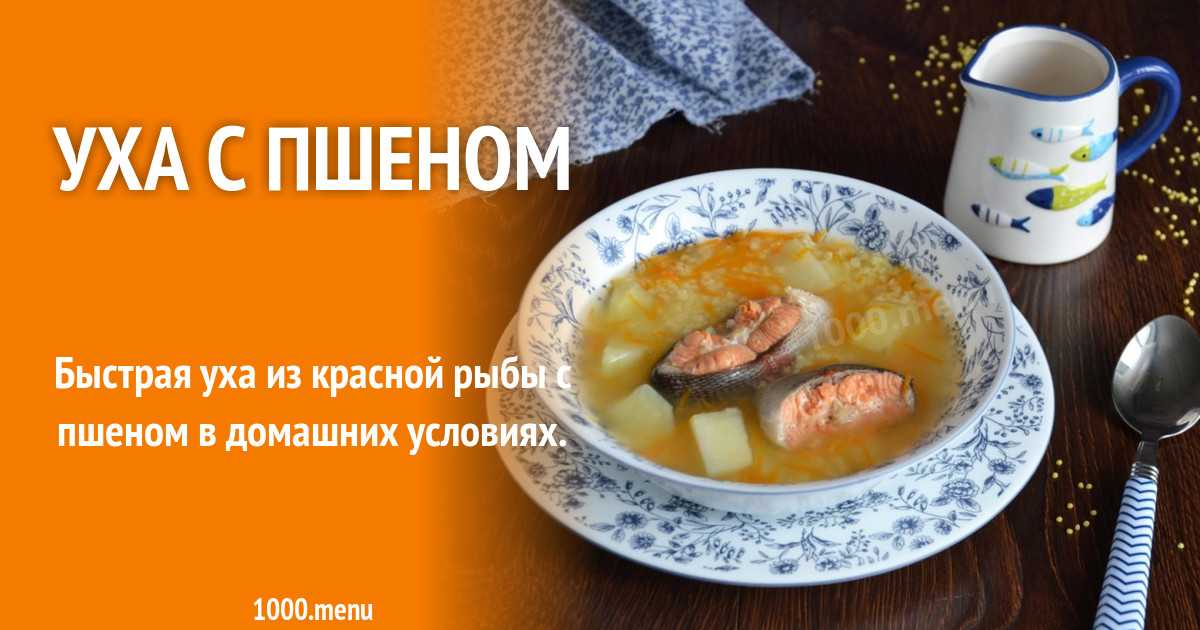 Уха из осетра: способ приготовления. самые лучшие и самые вкусные рецепты ухи из осетра