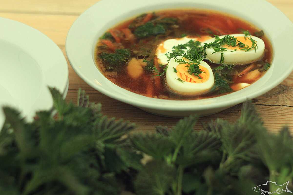 Зеленый борщ с щавелем и яйцом, пошаговый рецепт с фото | волшебная eда.ру