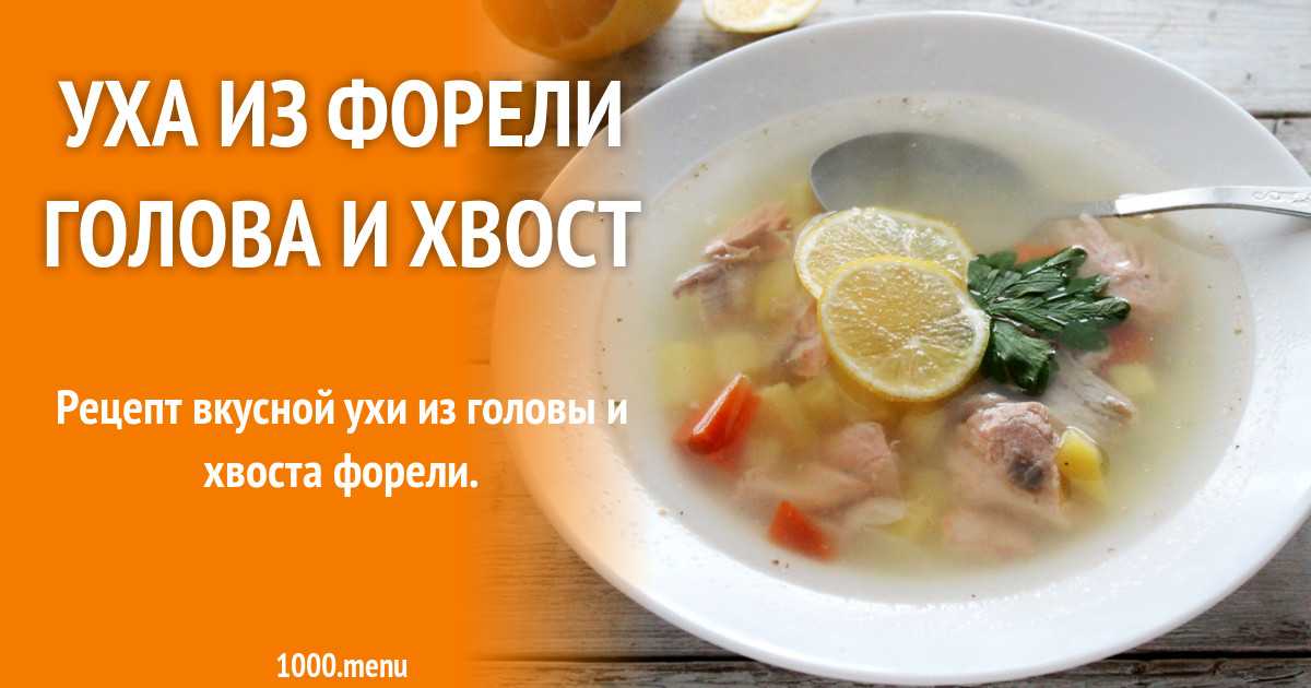 Уха из форели: рецепты супа (классический, со сливками, с картофелем), сколько варить