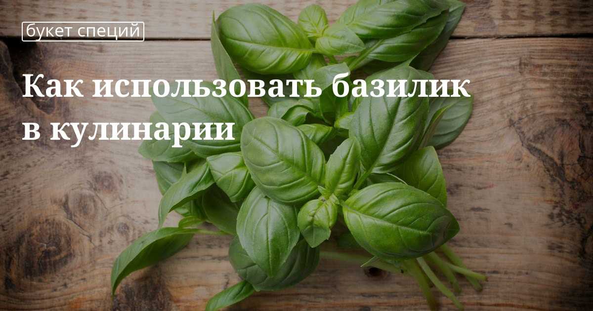 Орегано (приправа, трава душица обыкновенная): применение к блюдам, чем заменить (аналог) в кулинарии (для пиццы, греческого салата), куда добавлять, вкус, сушеный (сухой) и свежий