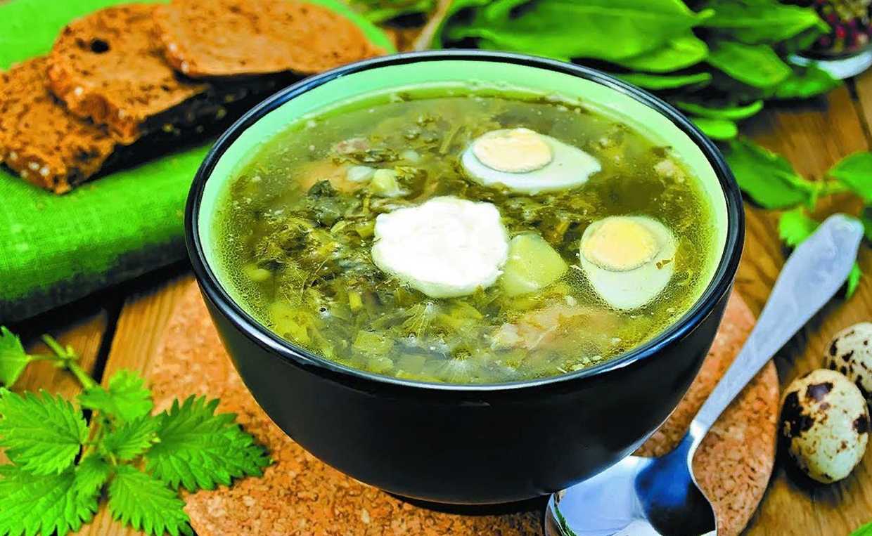 Рецепт зеленого борща с щавелем и яйцом с фото