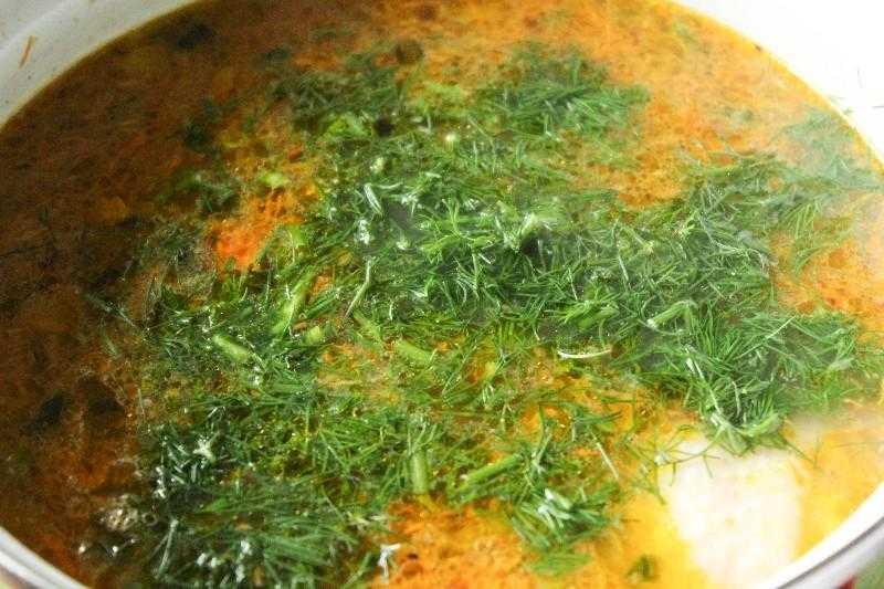 Суп харчо с картошкой и рисом рецепт с фото пошагово - 1000.menu