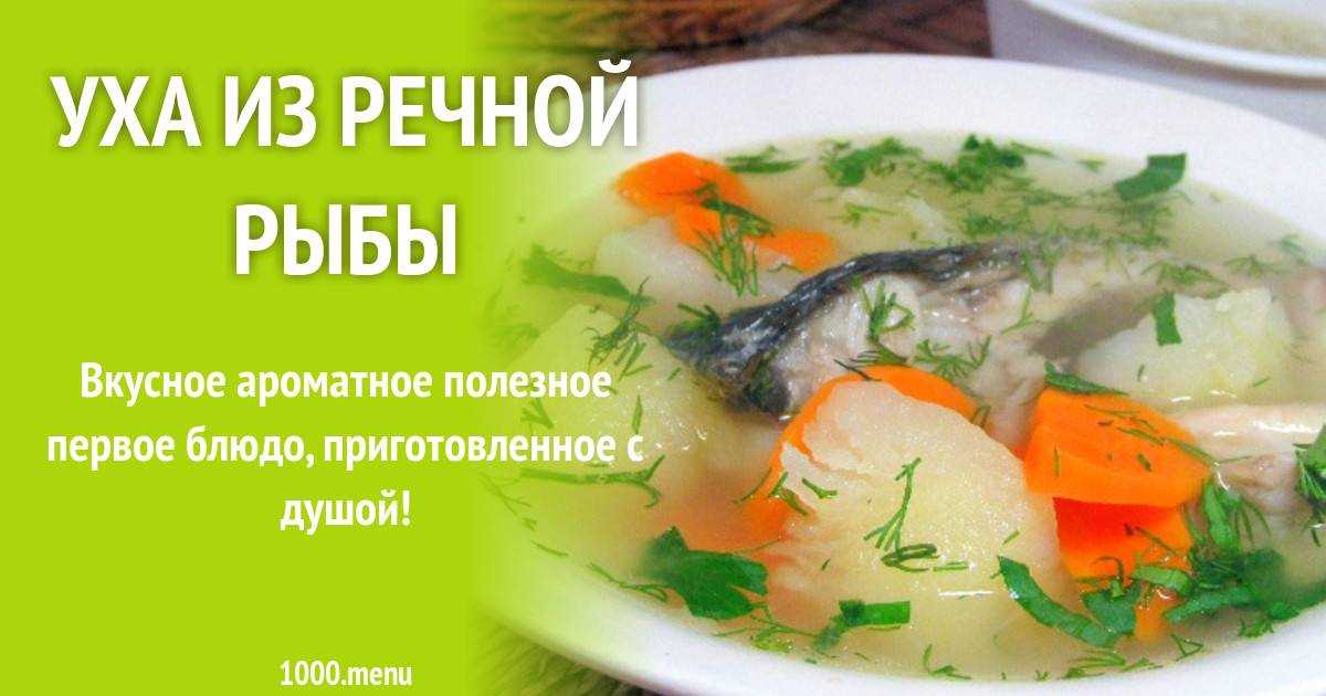 Как приготовить уху из форели по всем правилам - пошаговый рецепт