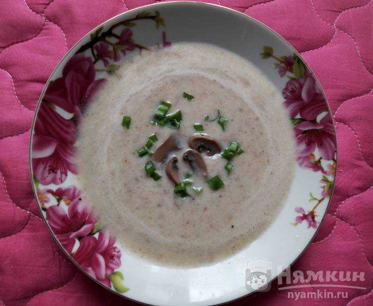 Грибной суп из шампиньонов: рецепты и советы по приготовлению - samchef.ru