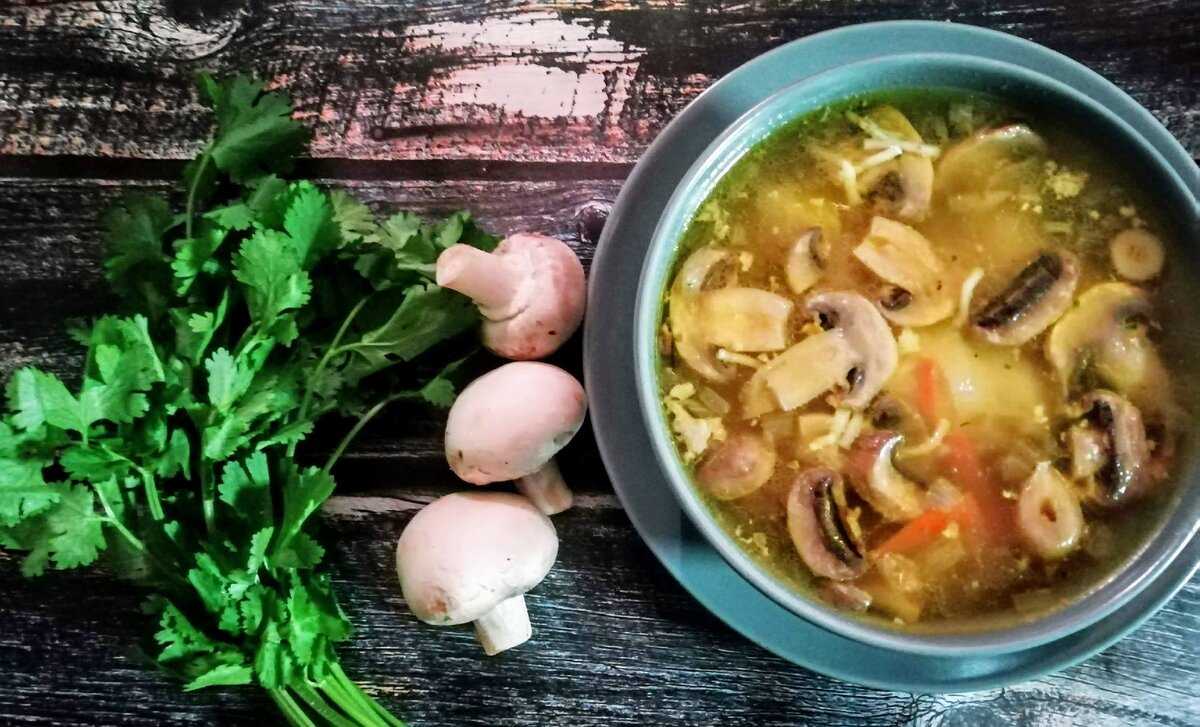 Грибной суп - самые вкусные рецепты с мясом, пошагово с фото