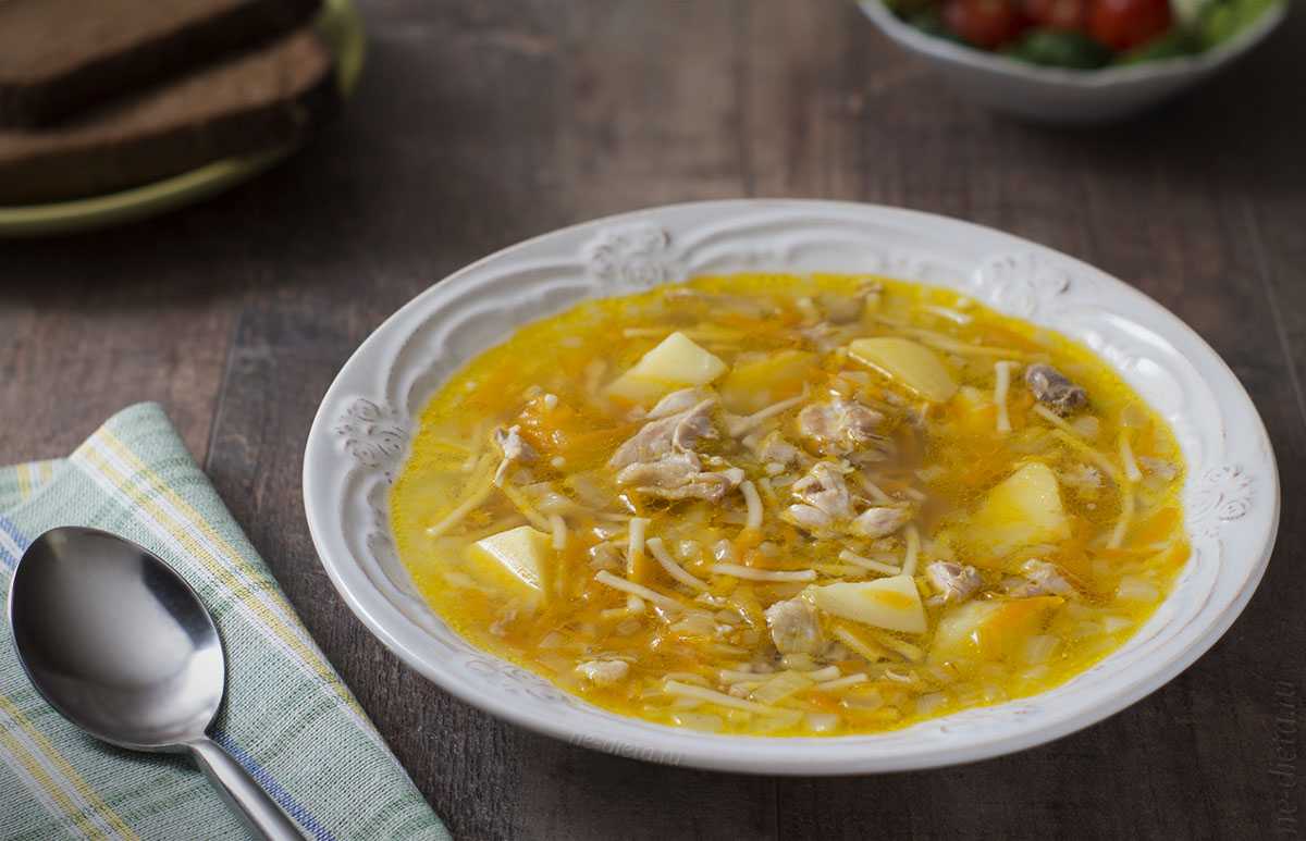 Куриный суп с вермишелью. с картофелем и без. 9 рецептов вкусного обеда для всей семьи