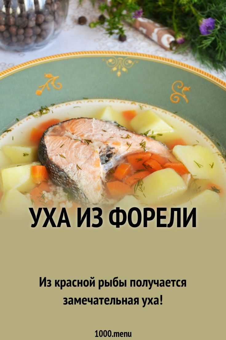 Уха из форели рецепт с фото пошагово