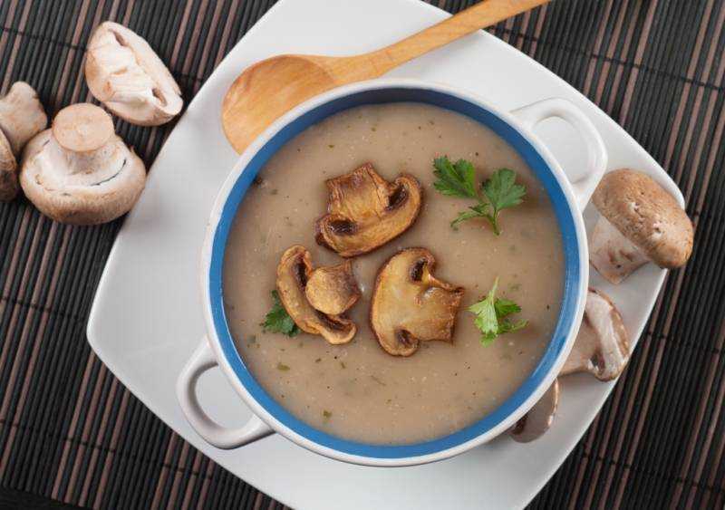 Грибной суп пюре — самые вкусные рецепты супов с грибами