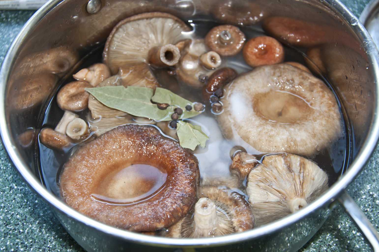 Груздянка из груздей: рецепты супа из свежих, соленых, замороженных грибов