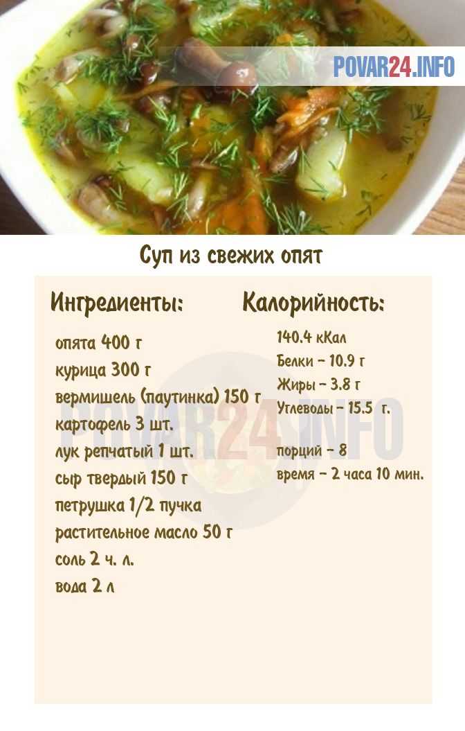 Суп из опят – 7 рецептов, как приготовить грибной суп