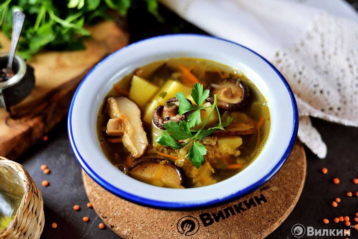Грибной суп из сушеных грибов: как варить, вкусные рецепты