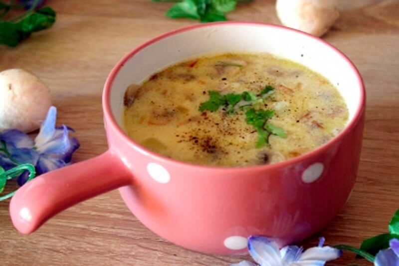 Сырный суп пюре с плавленным сыром и курицей рецепт с фото пошагово и видео - 1000.menu
