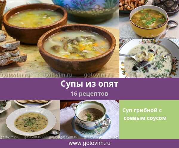 Суп из опят свежих