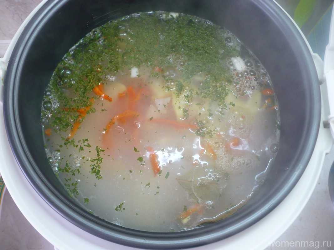 Рецепт супа из индейки с овощами - 12 пошаговых фото в рецепте