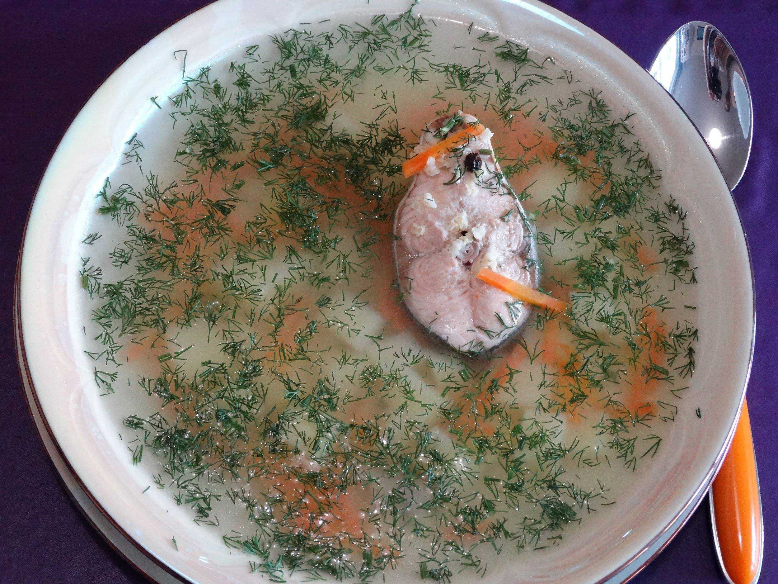 Уха из красной рыбы в домашних условиях рецепт с картошкой фото пошагово классический
