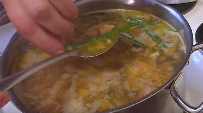Грибной суп из соленых груздей со взбитым яйцом . рецепт с фото / готовим.ру