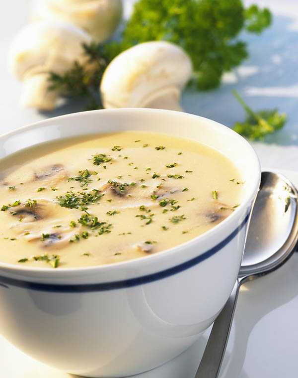 Готовим суп-пюре: простые рецепты для правильного питания и похудения