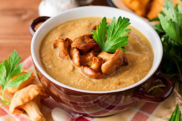 Суп из лисичек - вкусные рецепты крем-супа, сырного и сливочного блюда с гибами и курицей