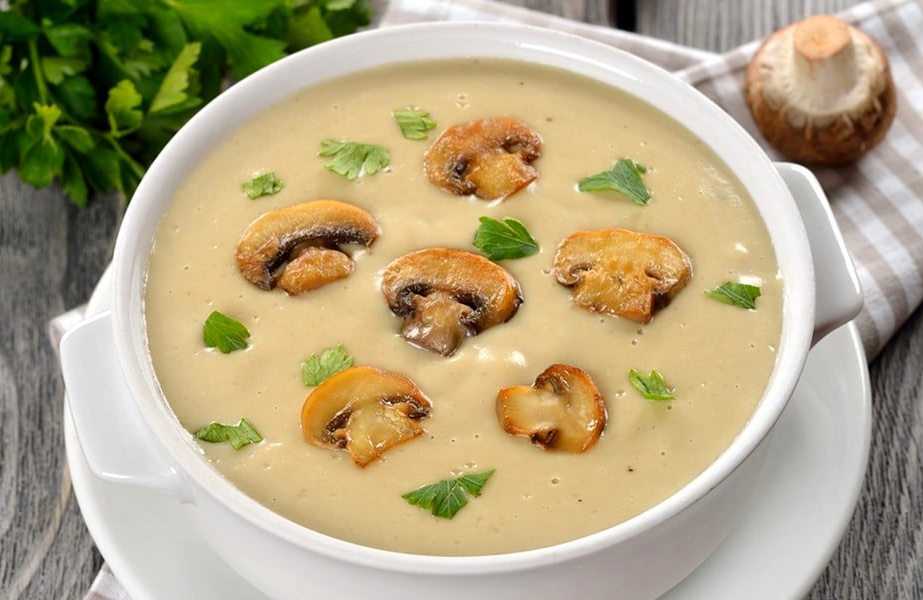 Грибной суп из шампиньонов — топ 5 рецептов супа с грибами