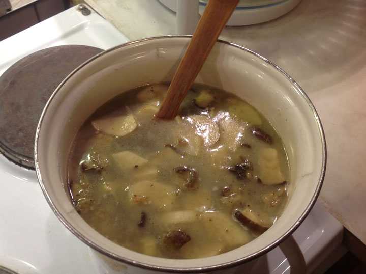 Суп из замороженных грибов белых с картофелем