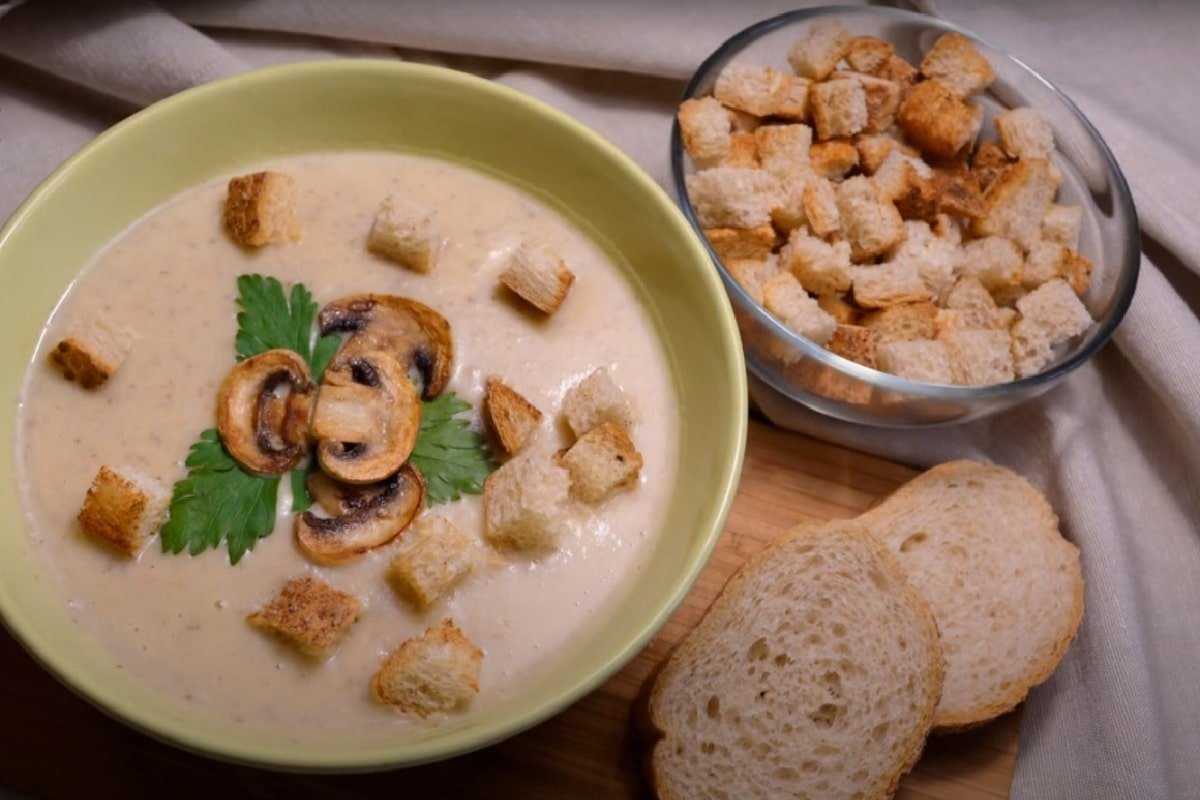 Крем-суп из шампиньонов со сливками – рецепт блюда и советы хозяйкам