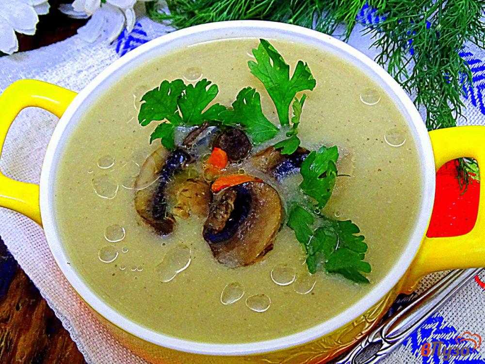 Суп-пюре из шампиньонов (8 вариантов рецепта)