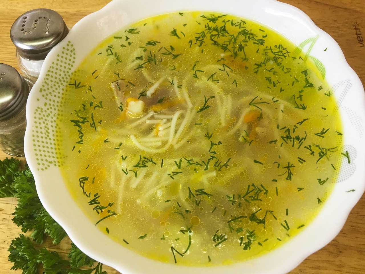 Куриный суп с вермишелью – рецепт домашнего приготовления и советы хозяйкам