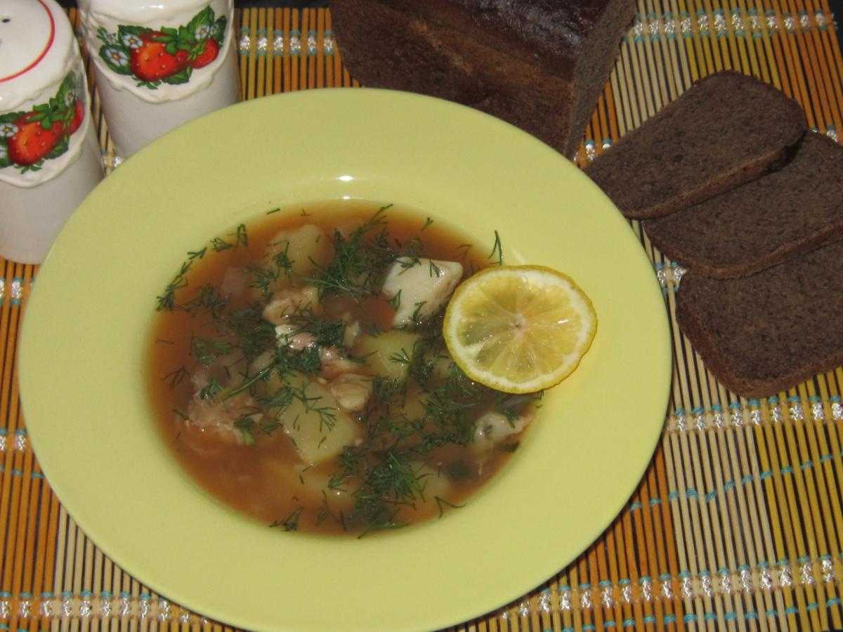 3 рецепта приготовления ухи из толстолобика в домашних условиях и в полях