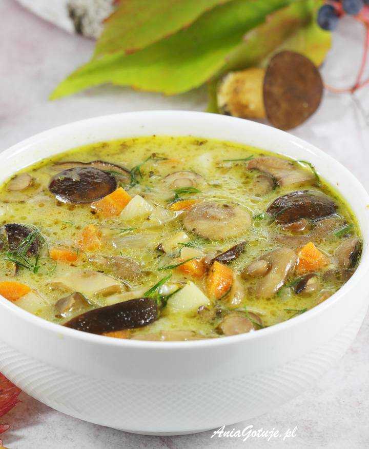 Вкусный суп из шампиньонов с картофелем - описание 4 рецептов