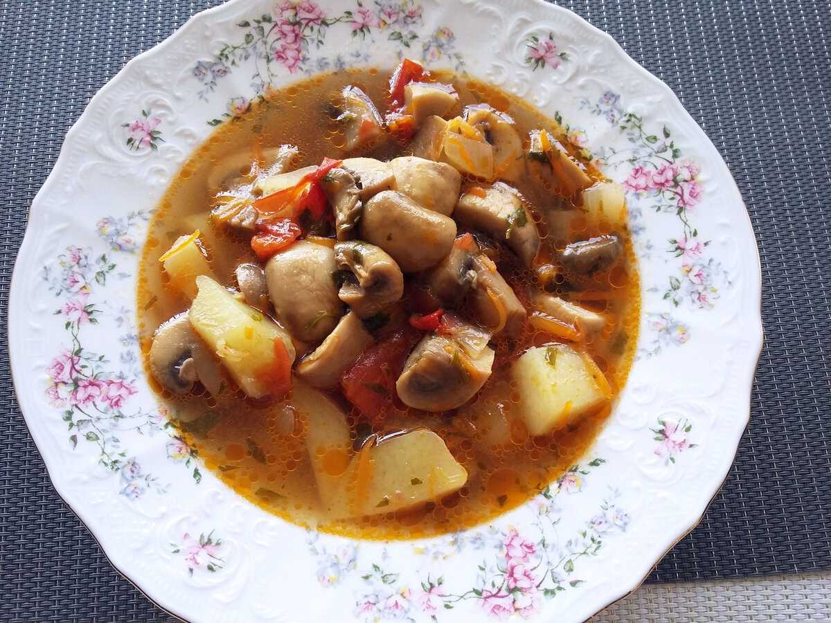 Грибной суп из свежих грибов, самые вкусные рецепты