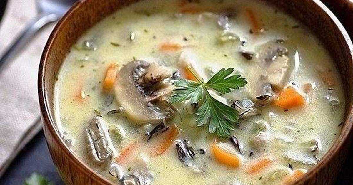Суп из сушеных белых грибов с картошкой, луком и петрушкой рецепт с фото пошагово - 1000.menu