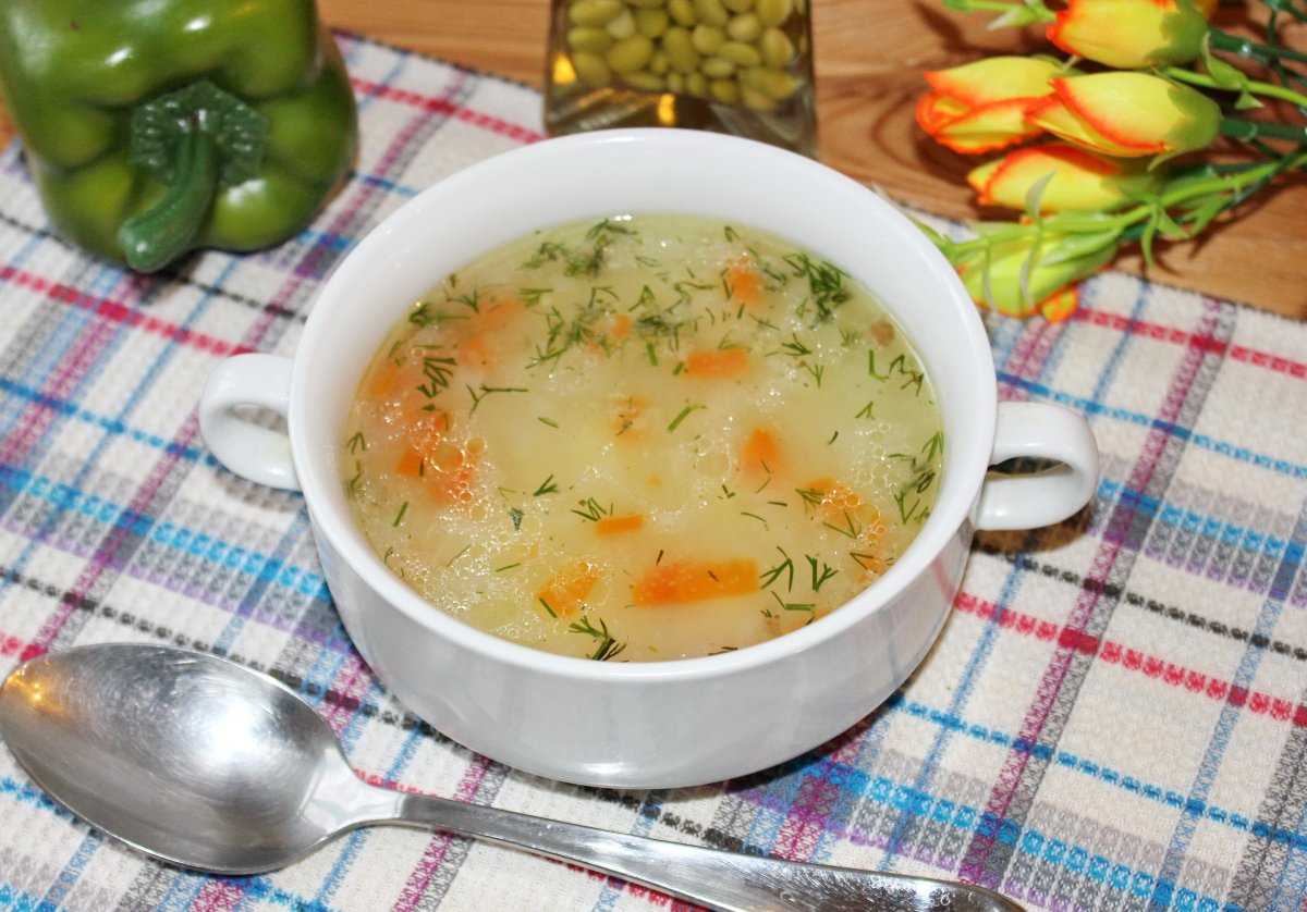 Овощной суп на курином бульоне - для любителей простой и быстрой еды: рецепт с фото и видео