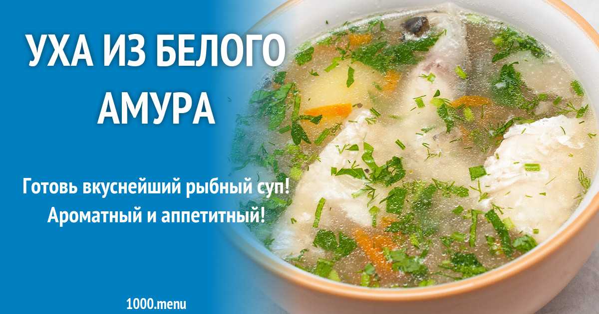 Как приготовить вкусную уху из белого амура