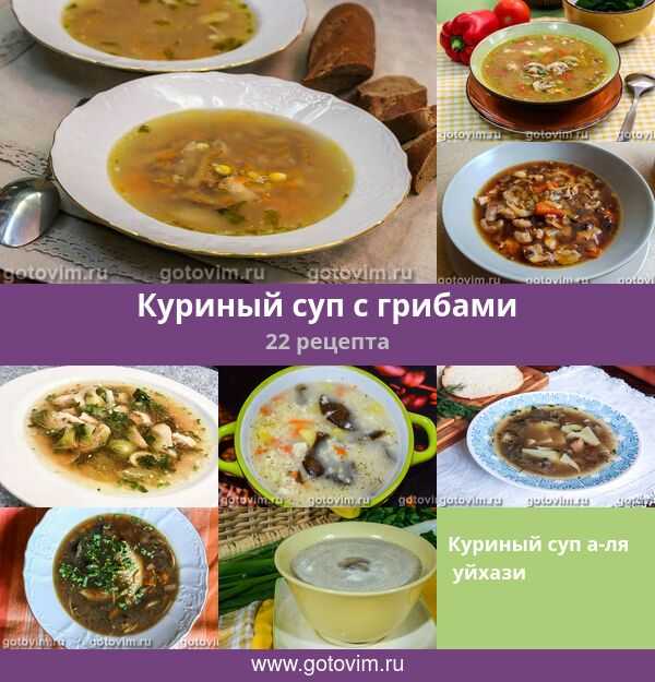 Суп из лисичек - вкусные рецепты крем-супа, сырного и сливочного блюда с гибами и курицей