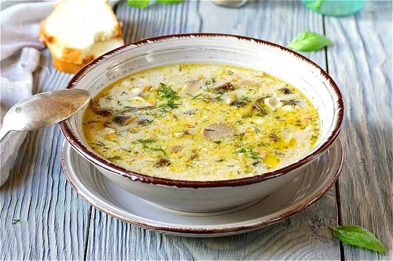 Грибной суп пюре из грибов - 28 рецептов - 1000.menu