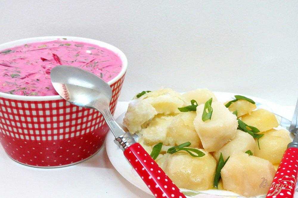Холодный борщ из маринованной свеклы – 5 рецептов с фото пошагово