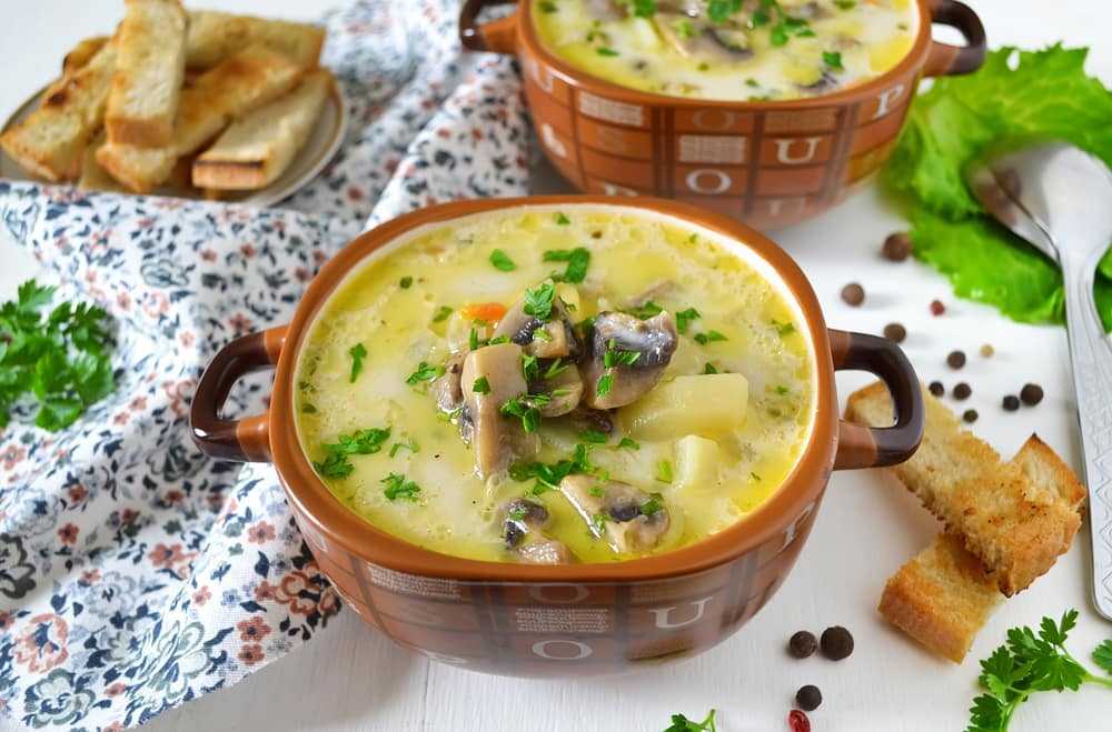 Куриный суп с шампиньонами – как приготовить по простому пошаговому рецепту