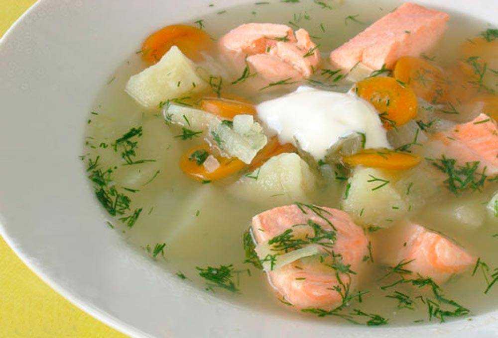 Как приготовить рыбный суп из семги — простые и вкусные рецепты с картошкой