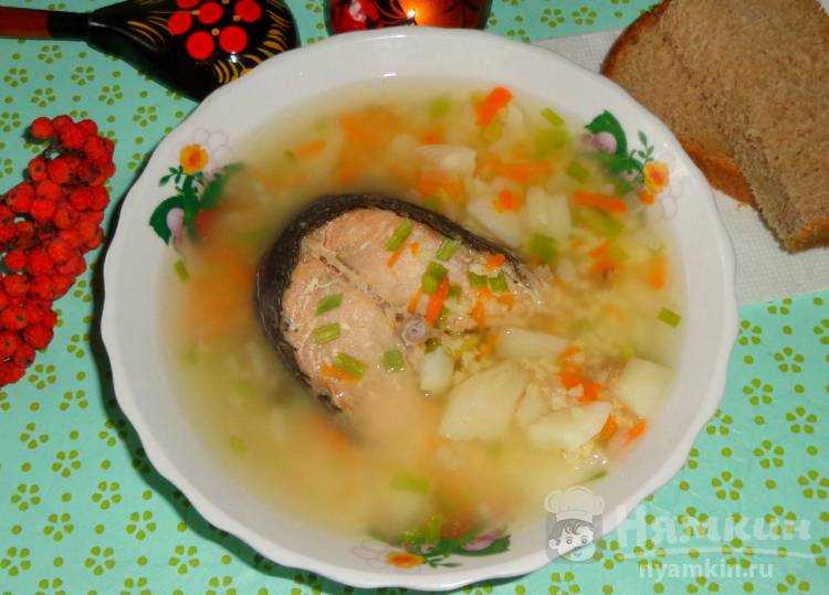 16 вкусных и простых рецептов приготовления ухи из кеты