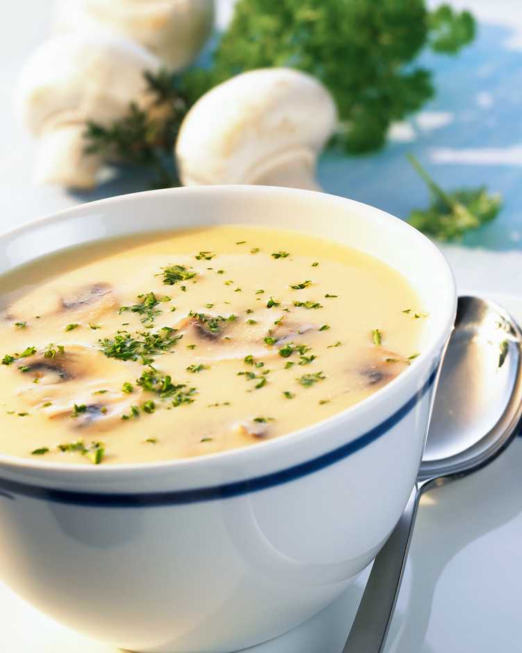 Грибной суп из маслят: рецепты, фото, видео, как сварить вкусный суп с грибами маслятами