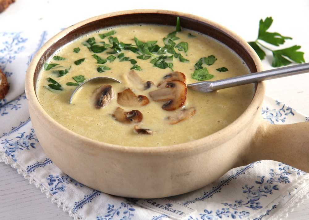 Суп с грибами и плавленным сыром – нежный вкус французской кухни: рецепт с фото и видео