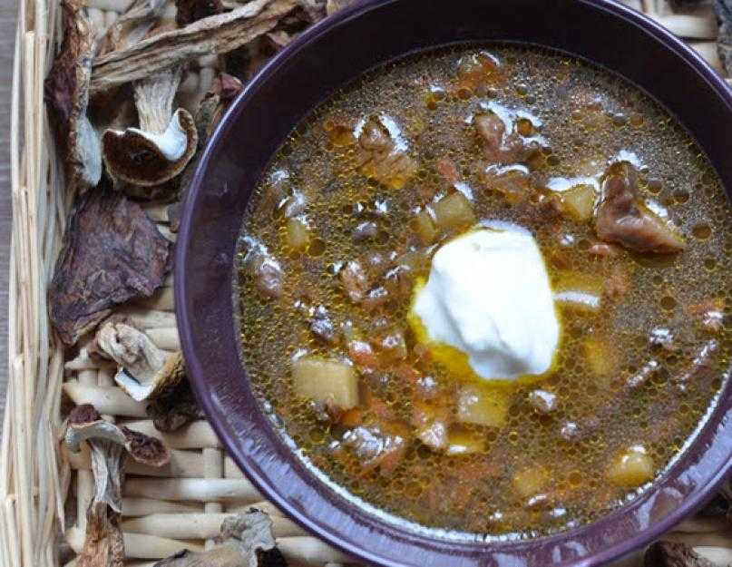 Грибной суп из сушеных грибов – 8 рецептов приготовления дома