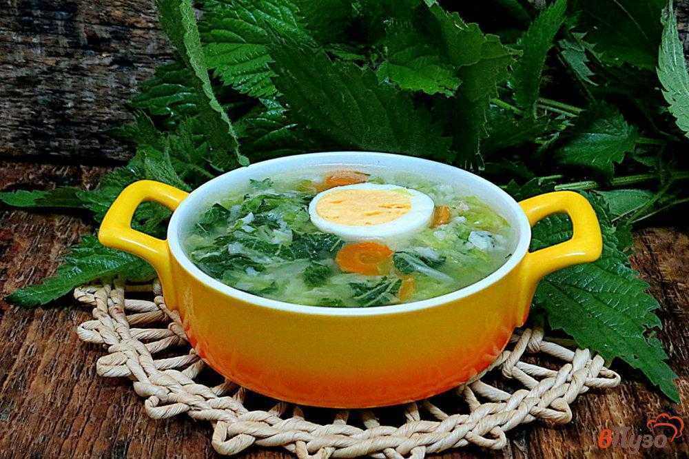 Суп из крапивы — проверенные рецепты. как правильно и вкусно приготовить суп из крапивы.