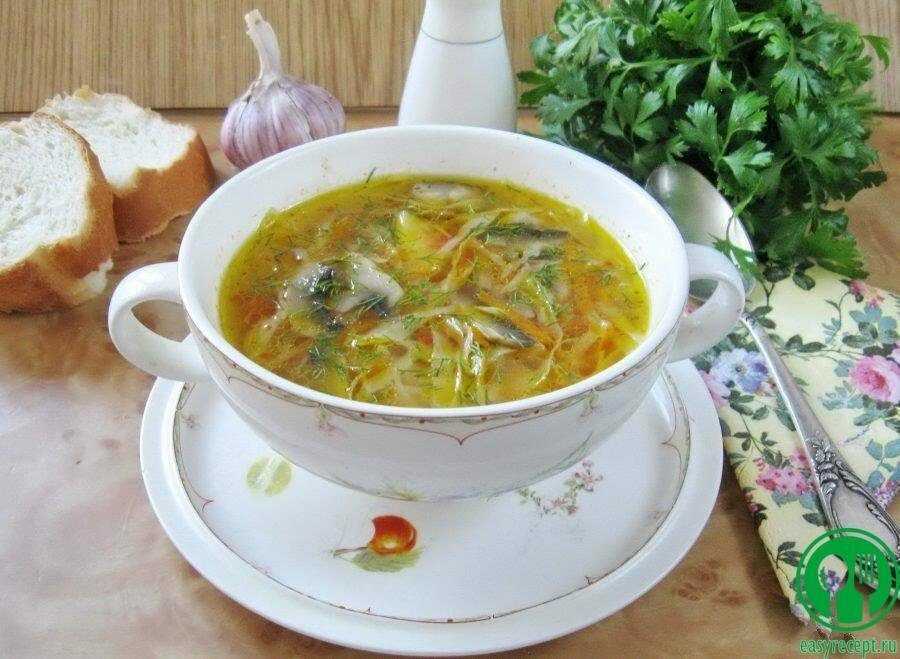 Диетические щи: из свежей капусты, из квашеной, вариант рецепта с курицей и без мясного бульона