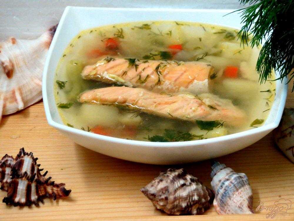 Как сделать более нежным сливочный суп из семги - 1000.menu