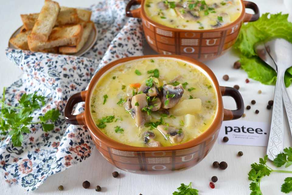 Рецепт борща из индейки