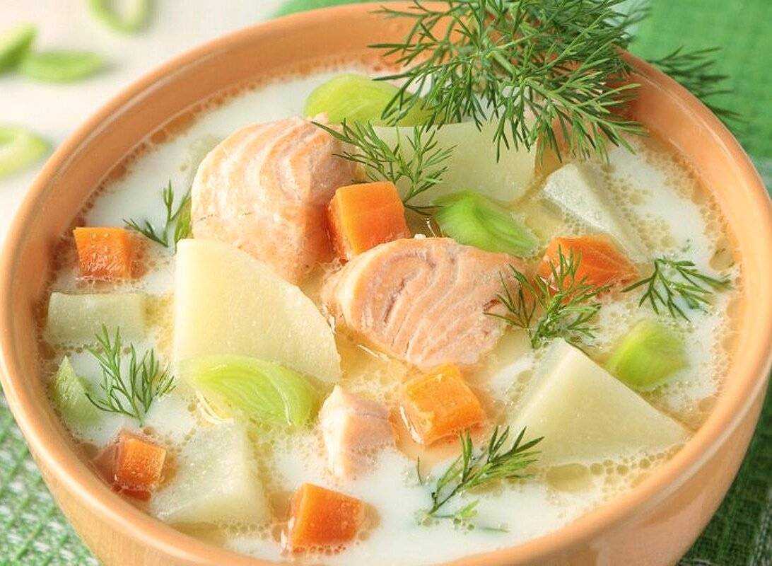 Уха из семги – 8 самых простых и очень вкусных рецептов для всей семьи
