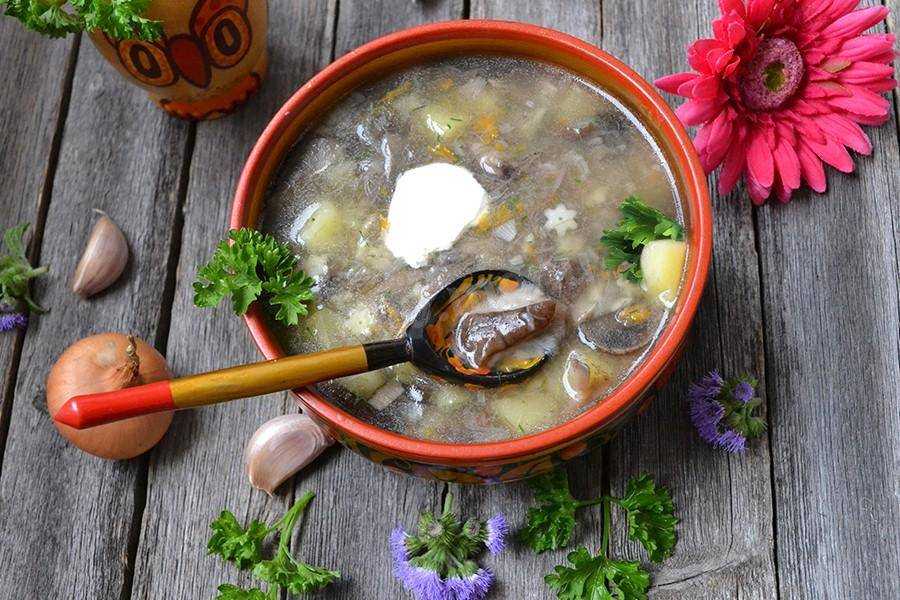 Как варить суп из подберезовиков. рецепты грибного супа из подберезовиков. вкусный суп из подберёзовиков, приготовленный в мультиварке