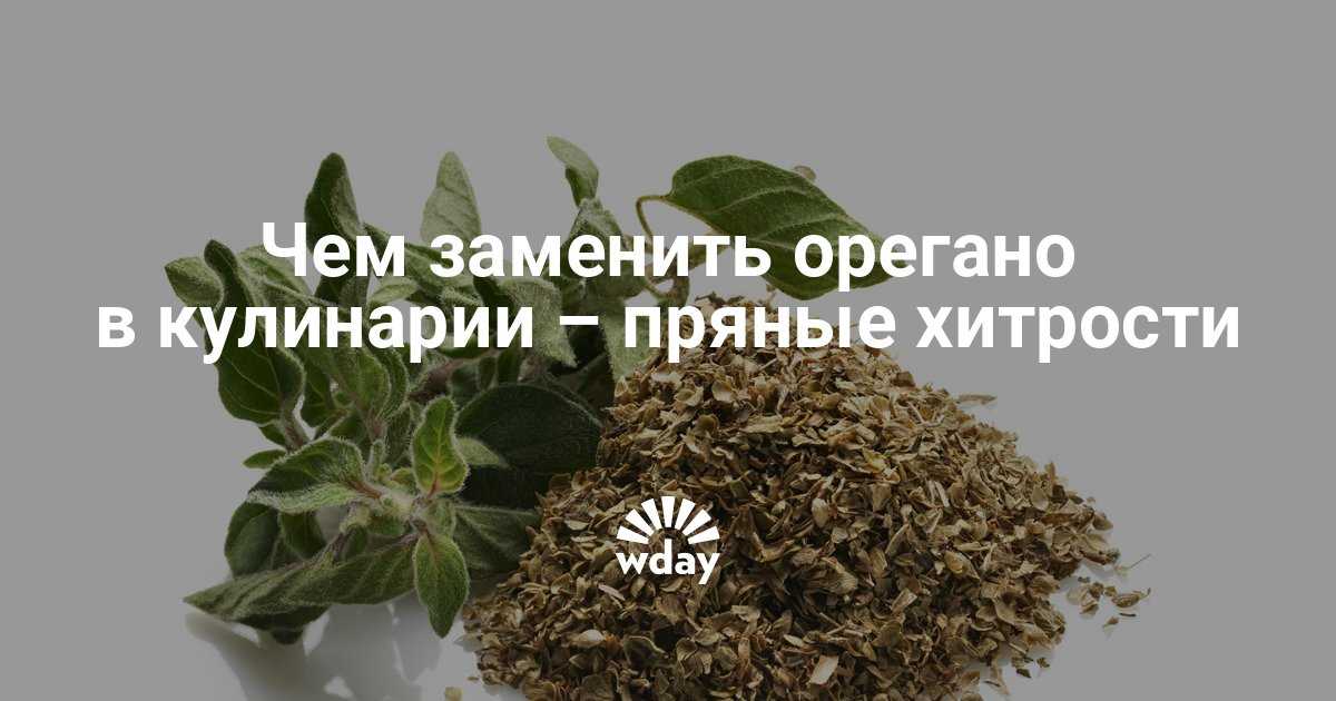 Суп с мясом, нутом и орегано | вкусно и полезно (vip)