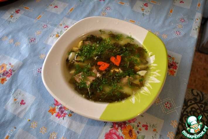 Зеленый суп из щавеля с яйцом, курицей или мясом — рецепт классический с фото пошагово. как варить суп со щавелем ребенку »